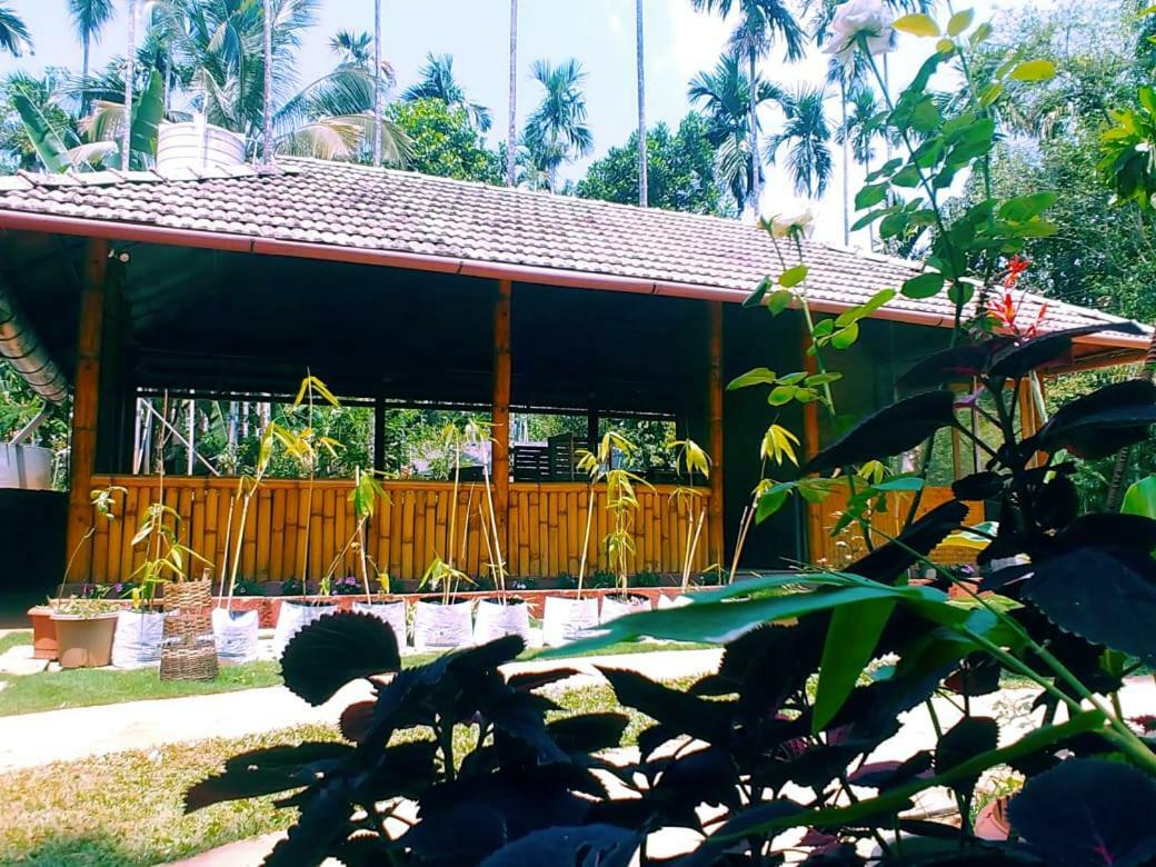 Misty Mornings Resort Ambalavayal Екстериор снимка