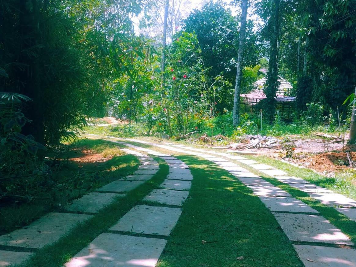 Misty Mornings Resort Ambalavayal Екстериор снимка
