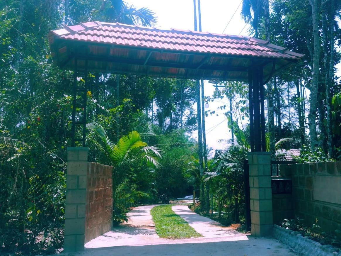 Misty Mornings Resort Ambalavayal Екстериор снимка