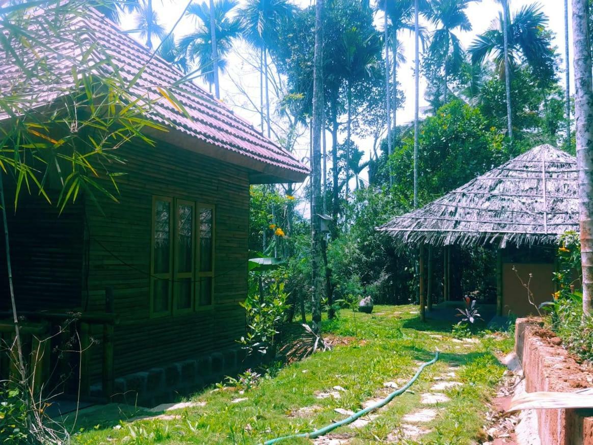 Misty Mornings Resort Ambalavayal Екстериор снимка